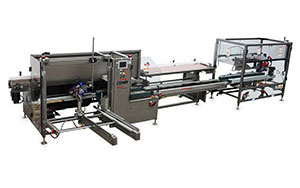 Case Packaging and Packing Machinery